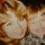 Cindy Whipple's profile image
