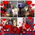 Annmarie J Patterson's profile image