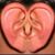 Kevin Cline's profile image