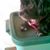 Donna Jackson's profile image