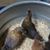 Gary Huard's profile image