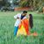 Jayesh Boghra's profile image