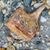 Christy Witschie's profile image