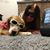 Karen Duncan Busch's profile image