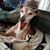 Dawn Miller's profile image