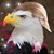 Eric Steick's profile image