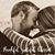 Crystal Huddleston's profile image