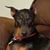 Julie Resh's profile image