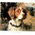 James Wahls's profile image