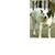 Susan Shaw's profile image