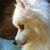 Lucia Hardy's profile image