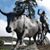 Paniolo Tex's profile image