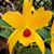 Susan Ferrante Reed's profile image