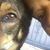 Phoebe Ja'nelle's profile image