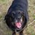 Peg Emond's profile image