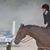 Tiff Guldin's profile image