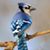Iza Minna's profile image