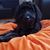 Cyndi Hooper O'Brion's profile image