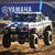 Bertha Ford's profile image