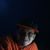 Jose Aponte's profile image