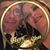 Amanda E Hasty's profile image