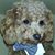 Kathy MoushonDunn's profile image