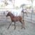 Kathy Ashdown's profile image