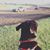 Kimmy Rhodes's profile image