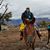 Marla Basile-Herring's profile image