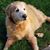 Leroy Bauer-Vernon's profile image