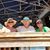 Stephanie Harris Busser's profile image