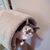 Lisa Wilson's profile image