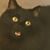 Anel Lizcano's profile image