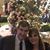 Luis Cilloniz's profile image