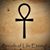 Trever Deloach's profile image