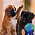 Jonathan Spradlin's profile image