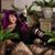 Geena D'Andrea's profile image