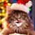 Christine Vick's profile image