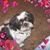 Cleo Flanagan's profile image
