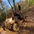 Tait Perry's profile image