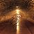 Andrey Cicadov's profile image