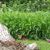 Michelle Bennitt Shepherd's profile image