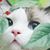 Kathy Hinckley Patterson's profile image