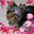 Marcia Herzfeld's profile image