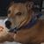 Michele Anne Marie's profile image