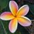 Jennifer Moore Barrett's profile image