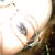 Robin Johnson Rocha's profile image