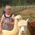 Donna Outcalt Amice's profile image