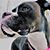 Kelly Lewicki's profile image