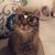 Emily Cameron's profile image